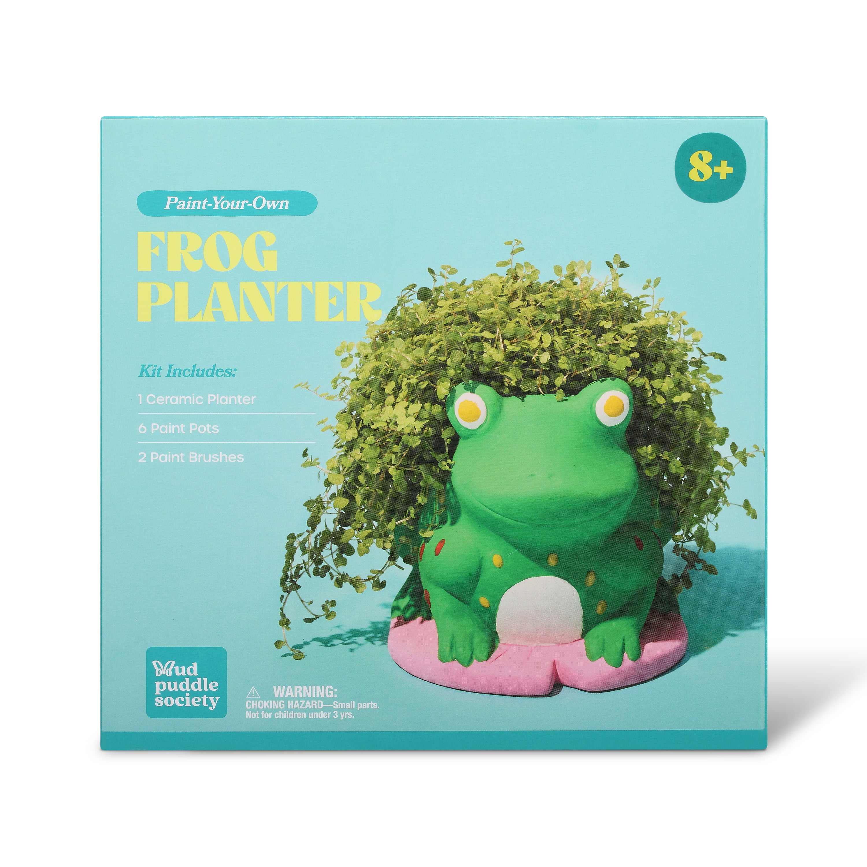 Frog Planter