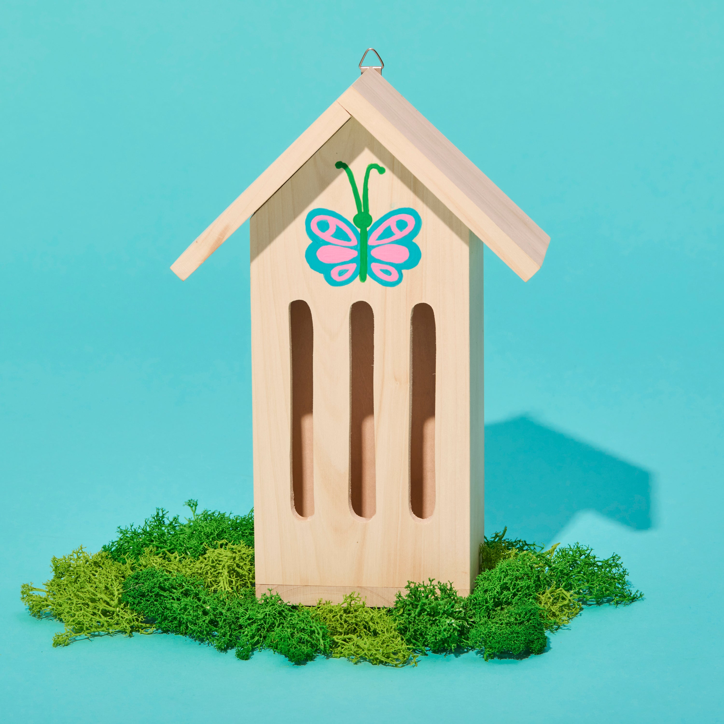 Butterfly House