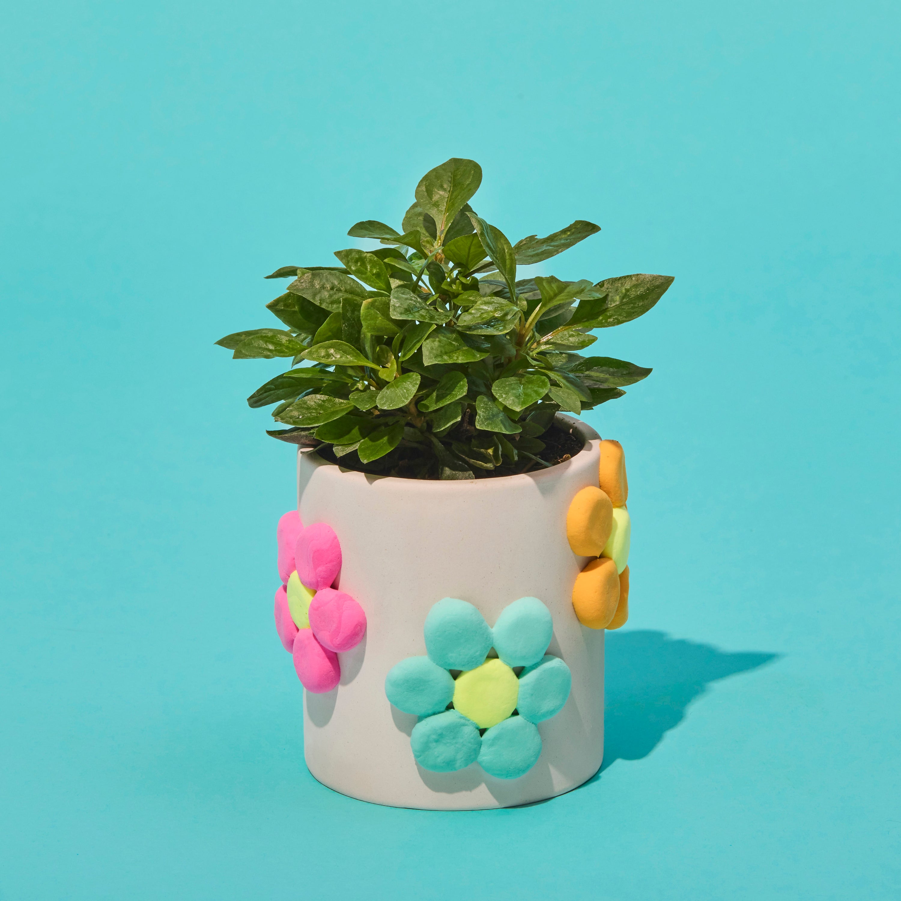 Ceramic Planter