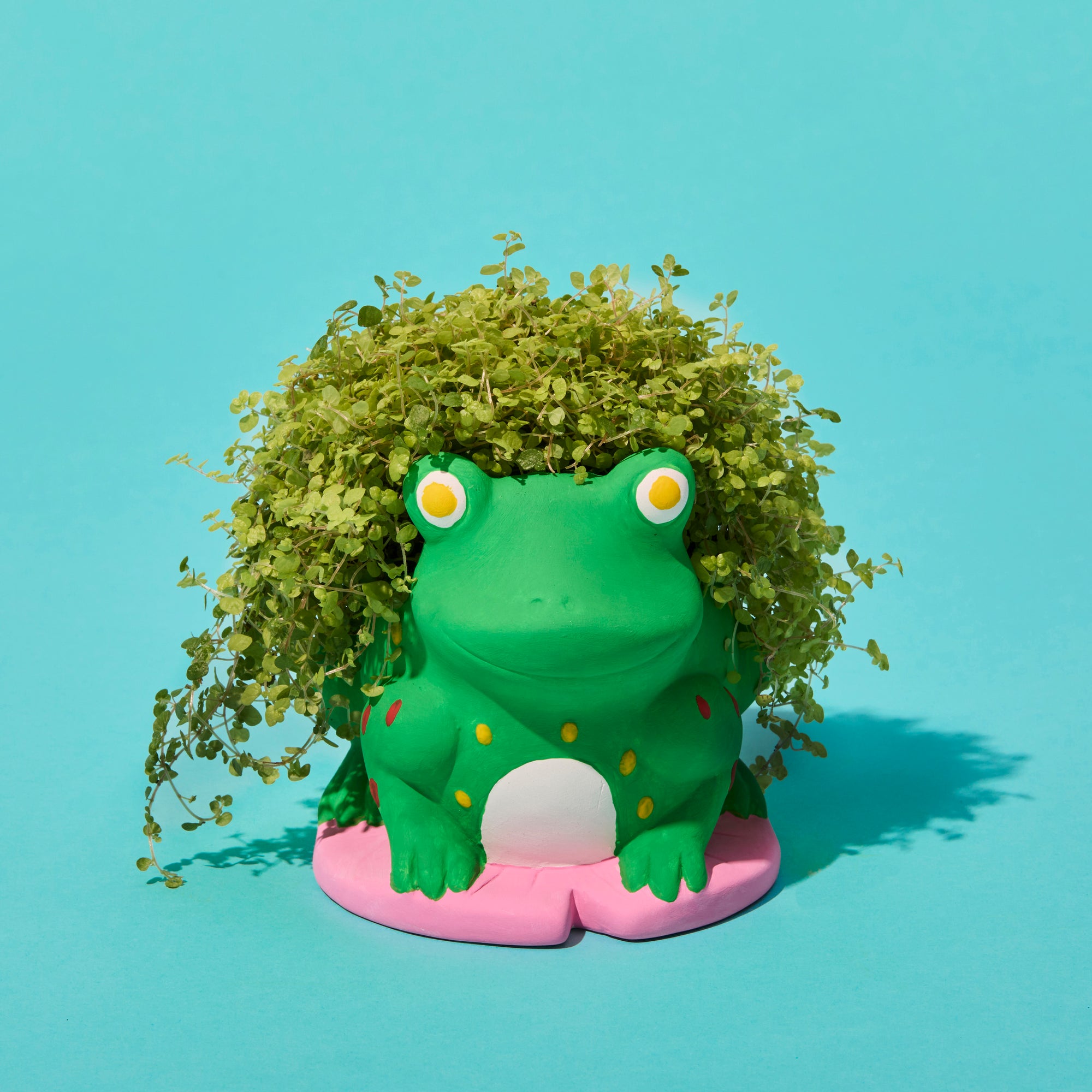 Frog Planter