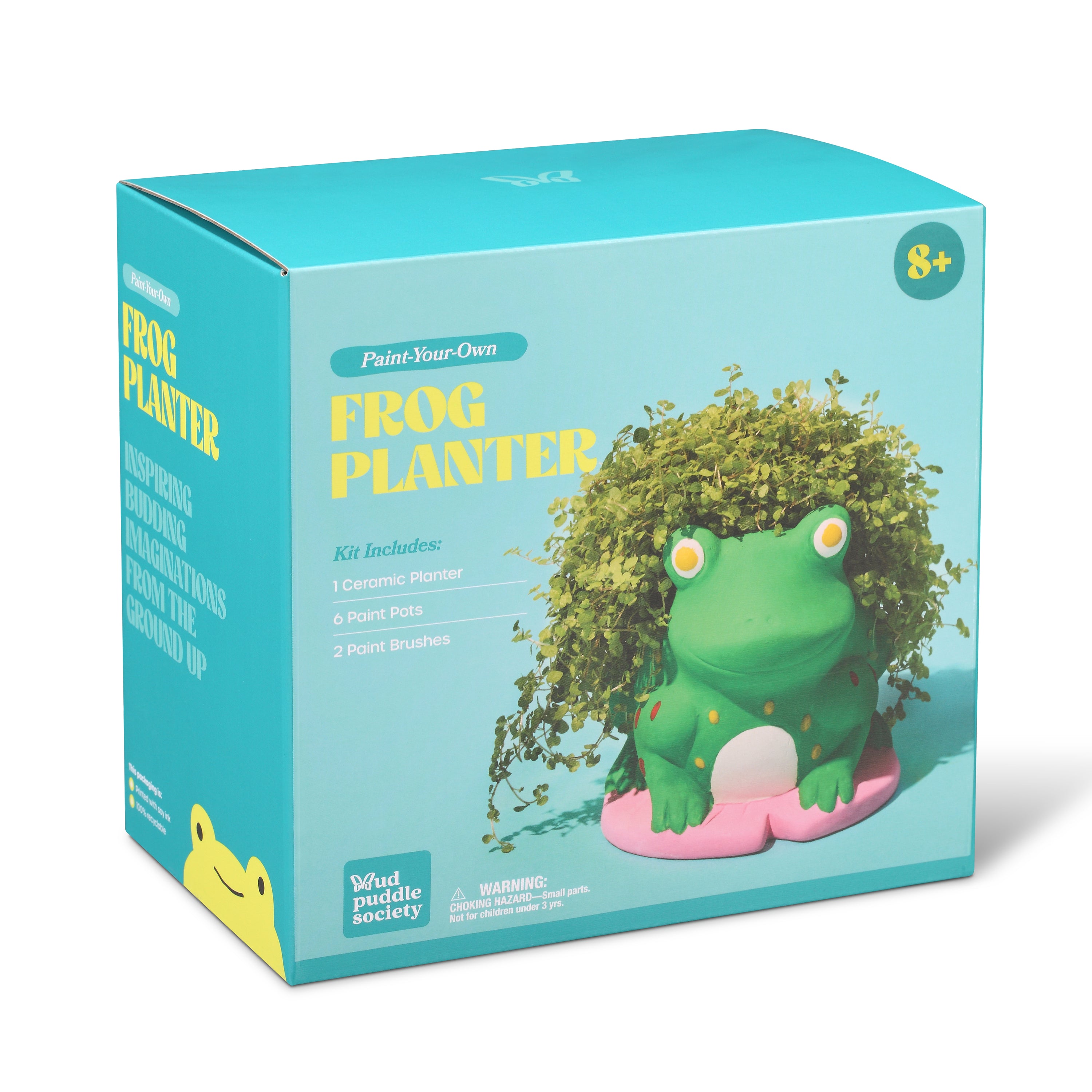 Frog Planter