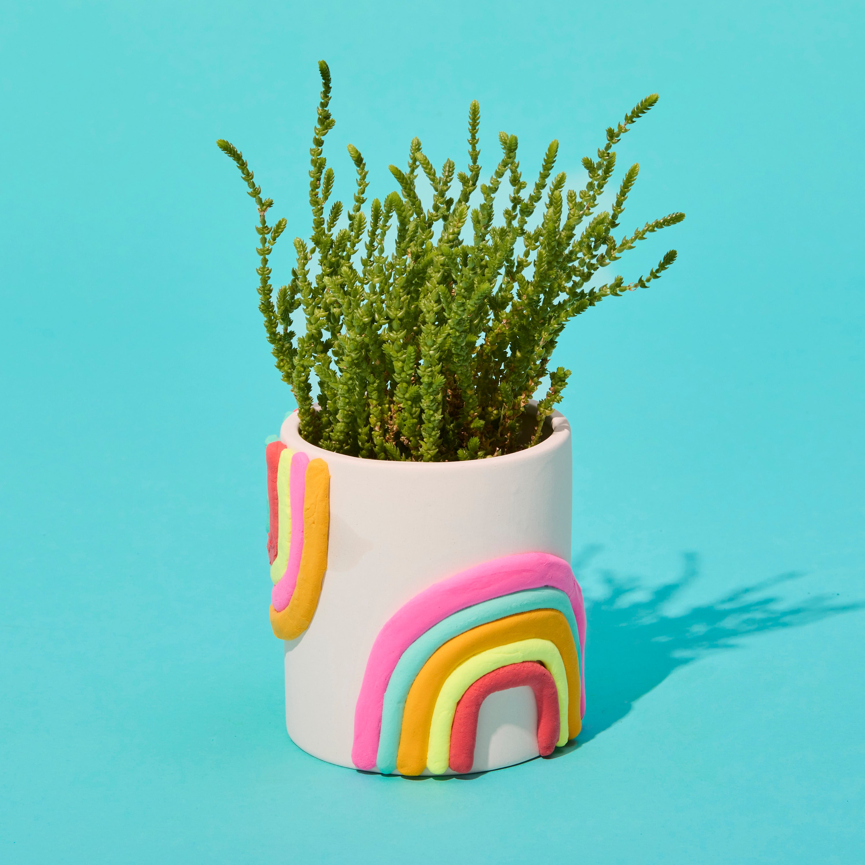 Ceramic Planter