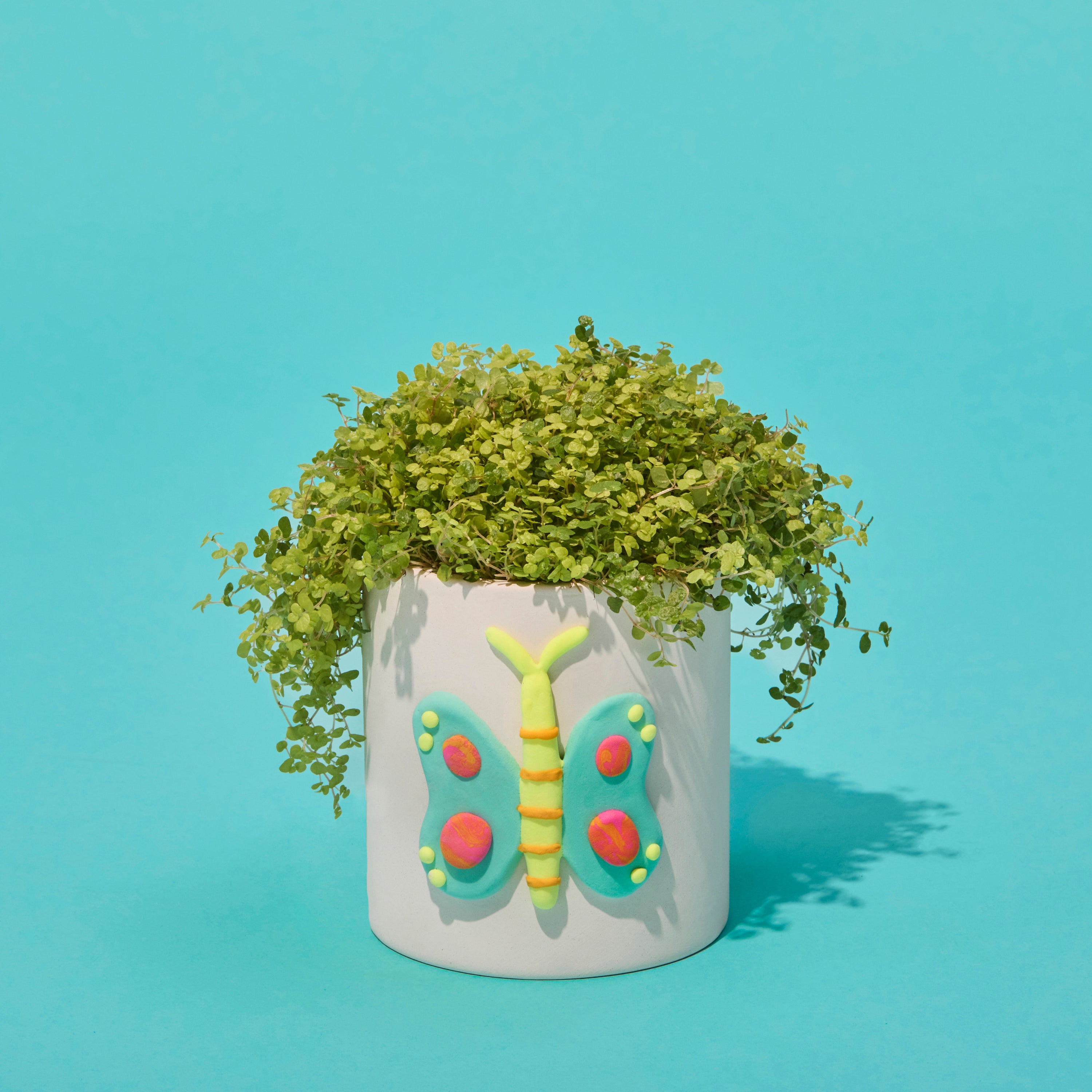 Ceramic Planter